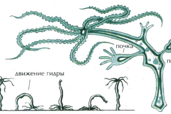 Kraken маркетплейс официальный