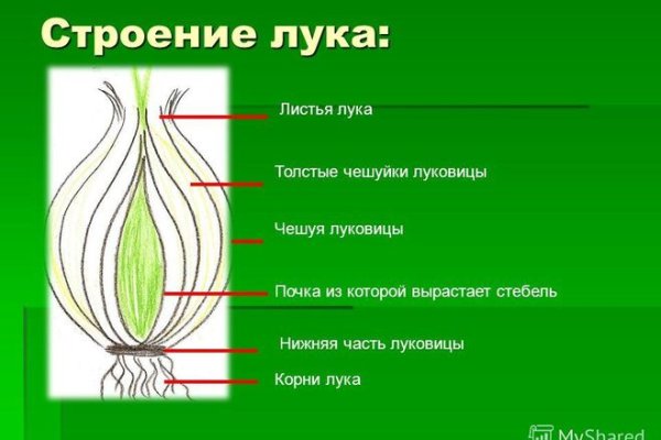 Как вывести деньги с кракена